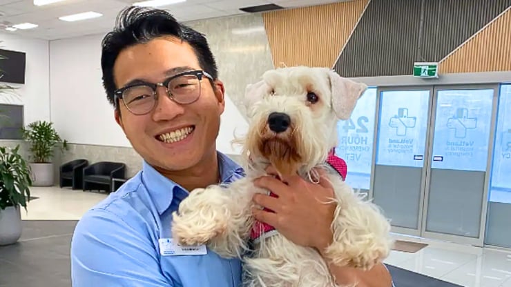 A dog enjoyed a fresh, vet-approved meal, showcasing the shift from standard kibble to whole foods supported by science and love.