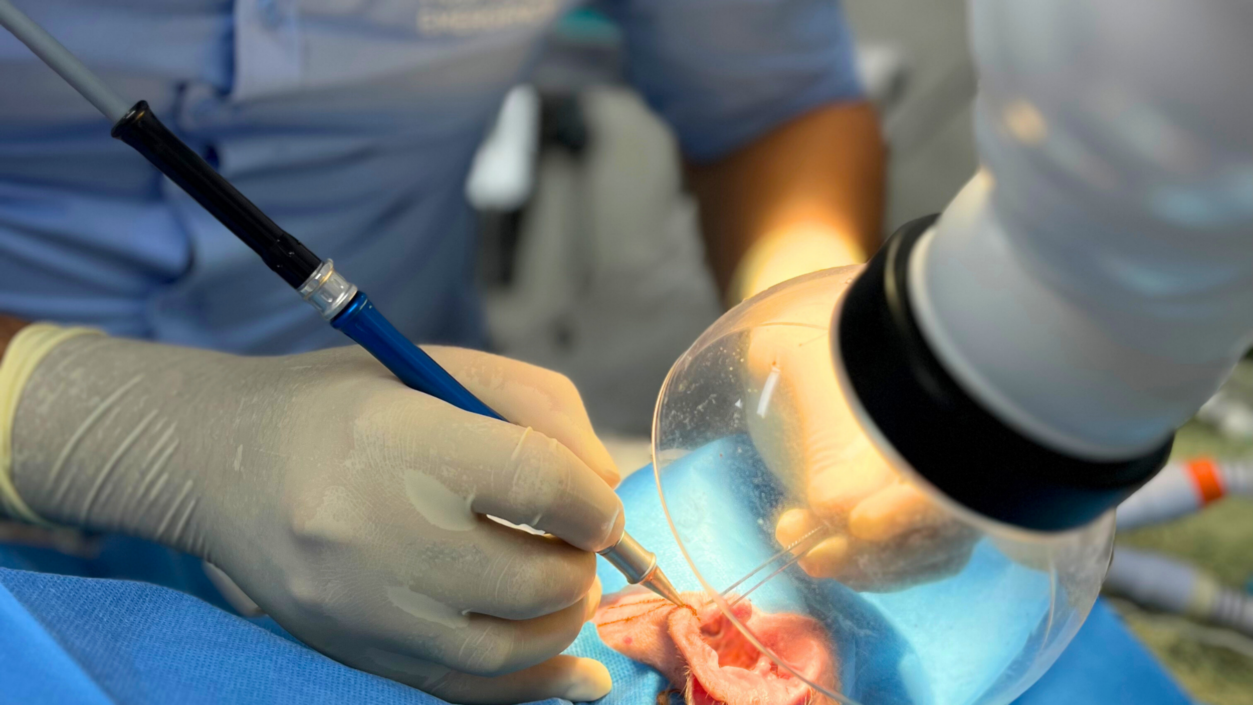 CO₂ laser surgery for pets at VetLand, showing gentle modern pet surgery designed to reduce pain, swelling, and recovery time after soft tissue procedures.