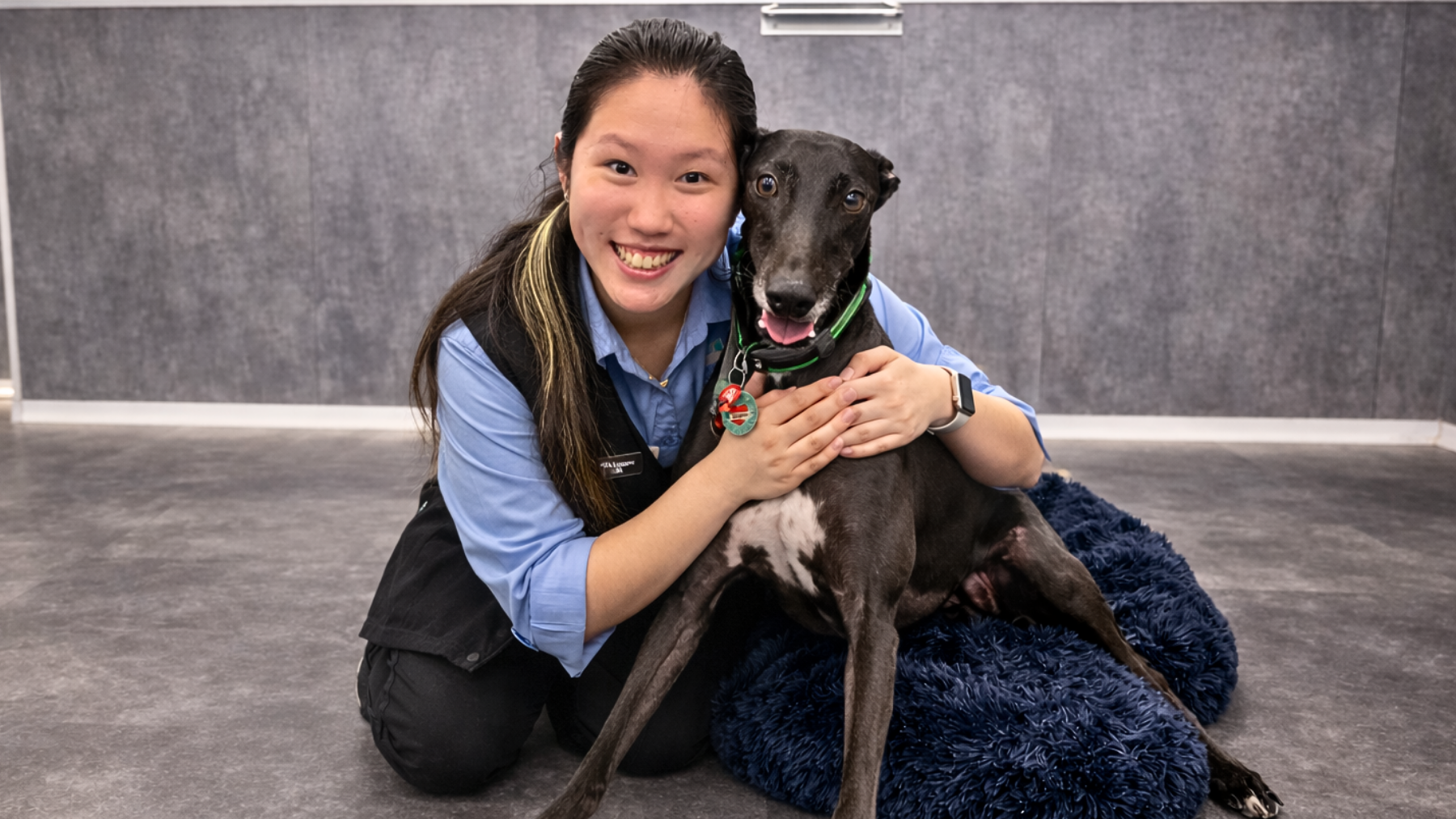 Dr Lynne smiling while checking a patient at Vetland Hospital & Emergency, showcasing her thoughtful diagnostic approach and warm connection with pets and families.