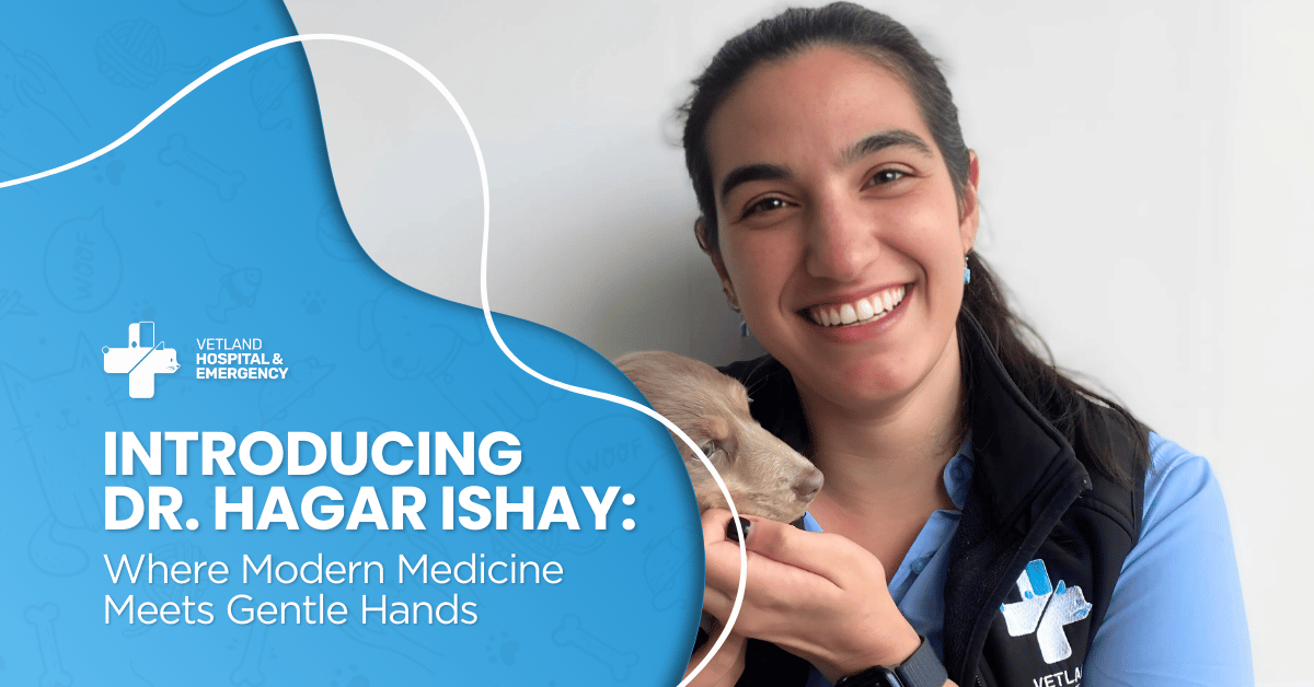 vetland hospital vets