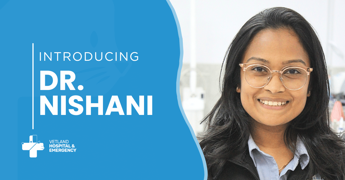 Introducing Dr. Nishani