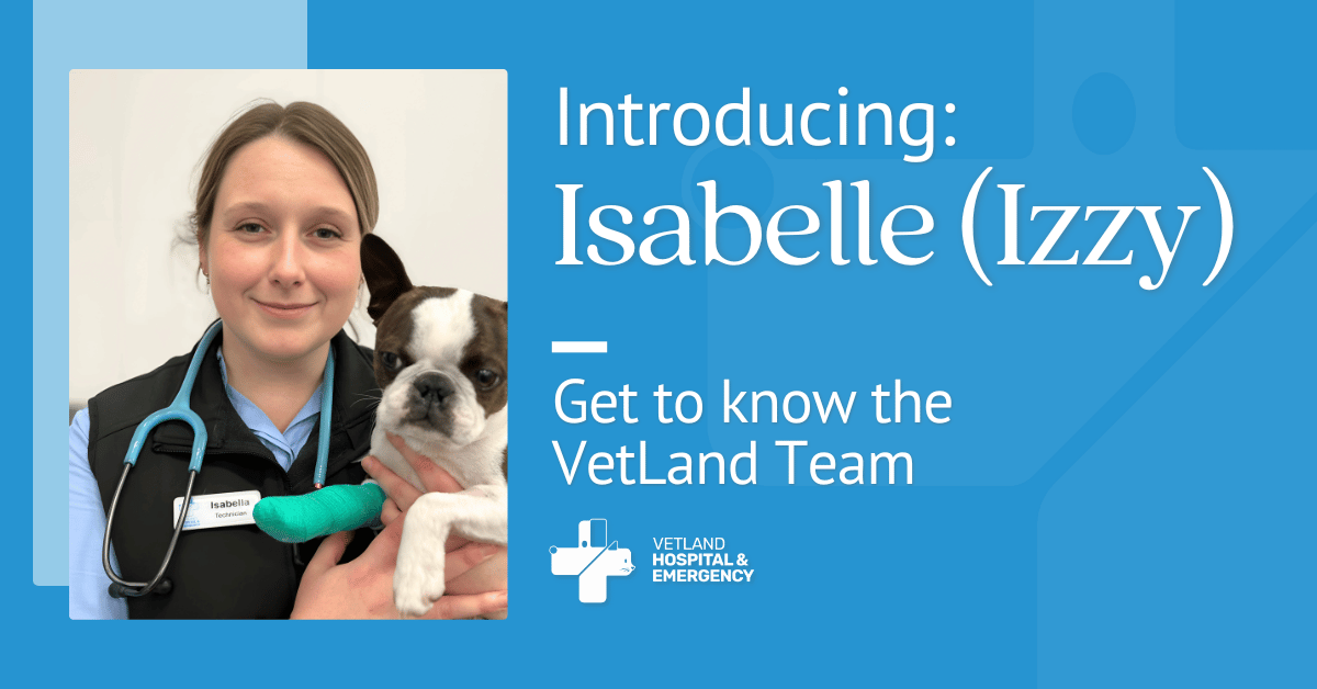 Introducing: Isabelle (Izzy)