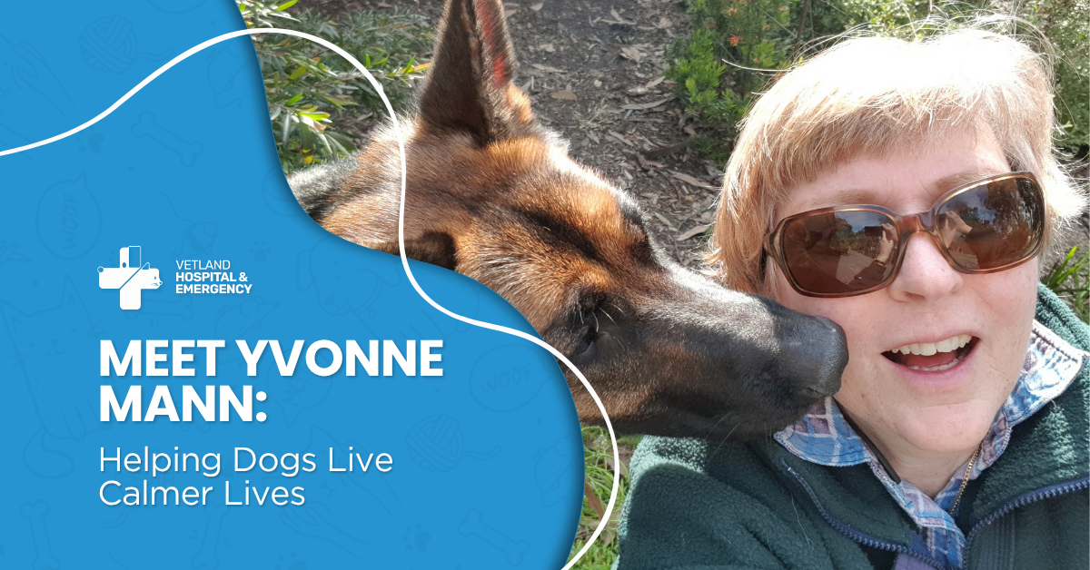 Yvonne Mann, Animal Behaviourist, smiling beside her German Shepherd—building calm, trust, and connection through compassionate dog training.