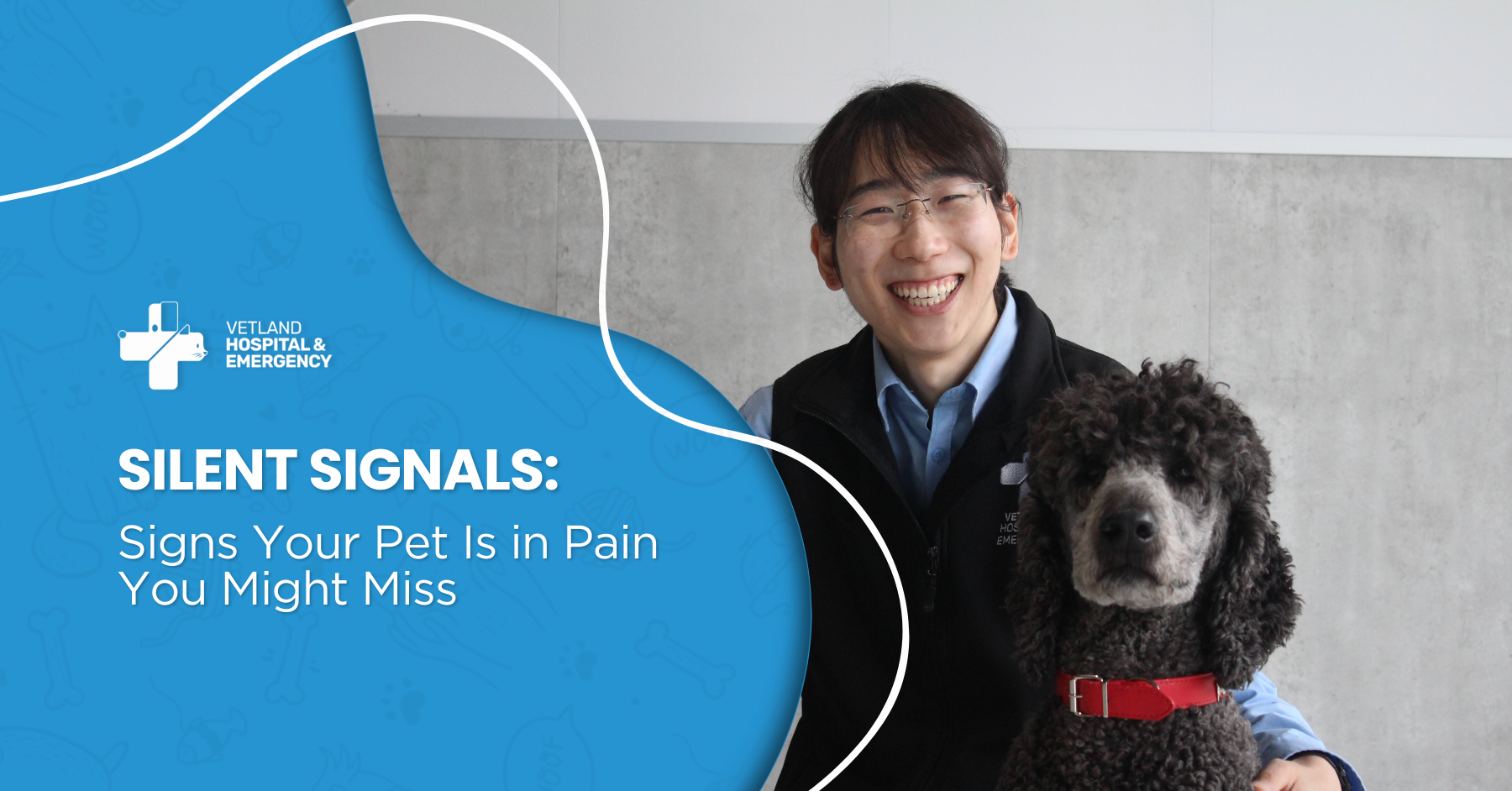 Veterinarian gently examining a dog during a health check, helping identify hidden signs your pet is in pain and ensuring early treatment for better comfort and mobility.