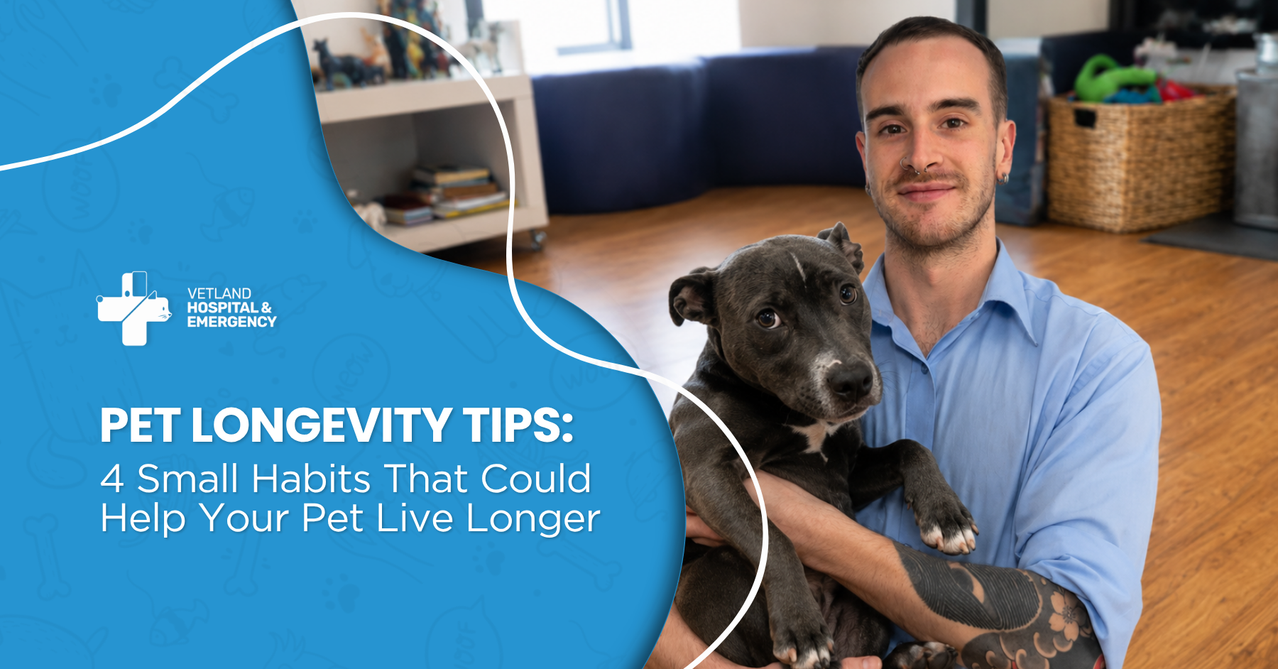 Pet Longevity Tips: 4 Small Habits That Could Help Your Pet Live Longer