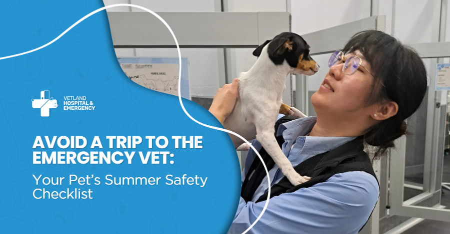 Avoid a Trip to the Emergency Vet: Your Pet’s Summer Safety Checklist