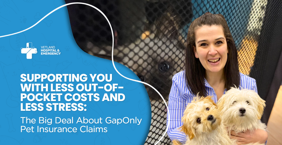 Supporting You with Less Out-of-Pocket Costs and Less Stress: The Big Deal About GapOnly Pet Insurance Claims