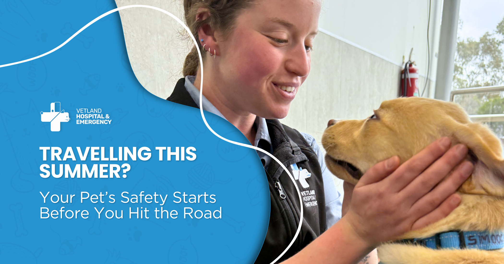 Vet nurse holding a puppy during a pre-travel health check, promoting pet safety, summer travel preparation, parasite prevention, and responsible holiday planning.