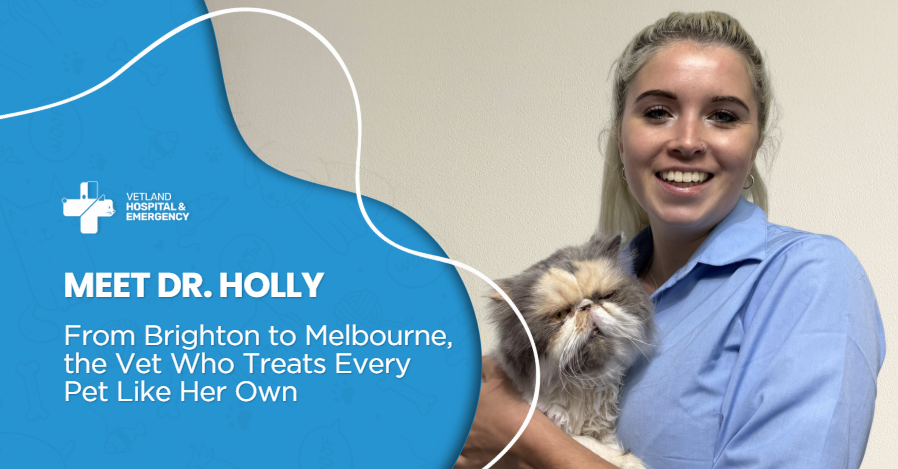Meet Dr. Holly — From Brighton to Melbourne, the Vet Who Treats Every Pet Like Her Own