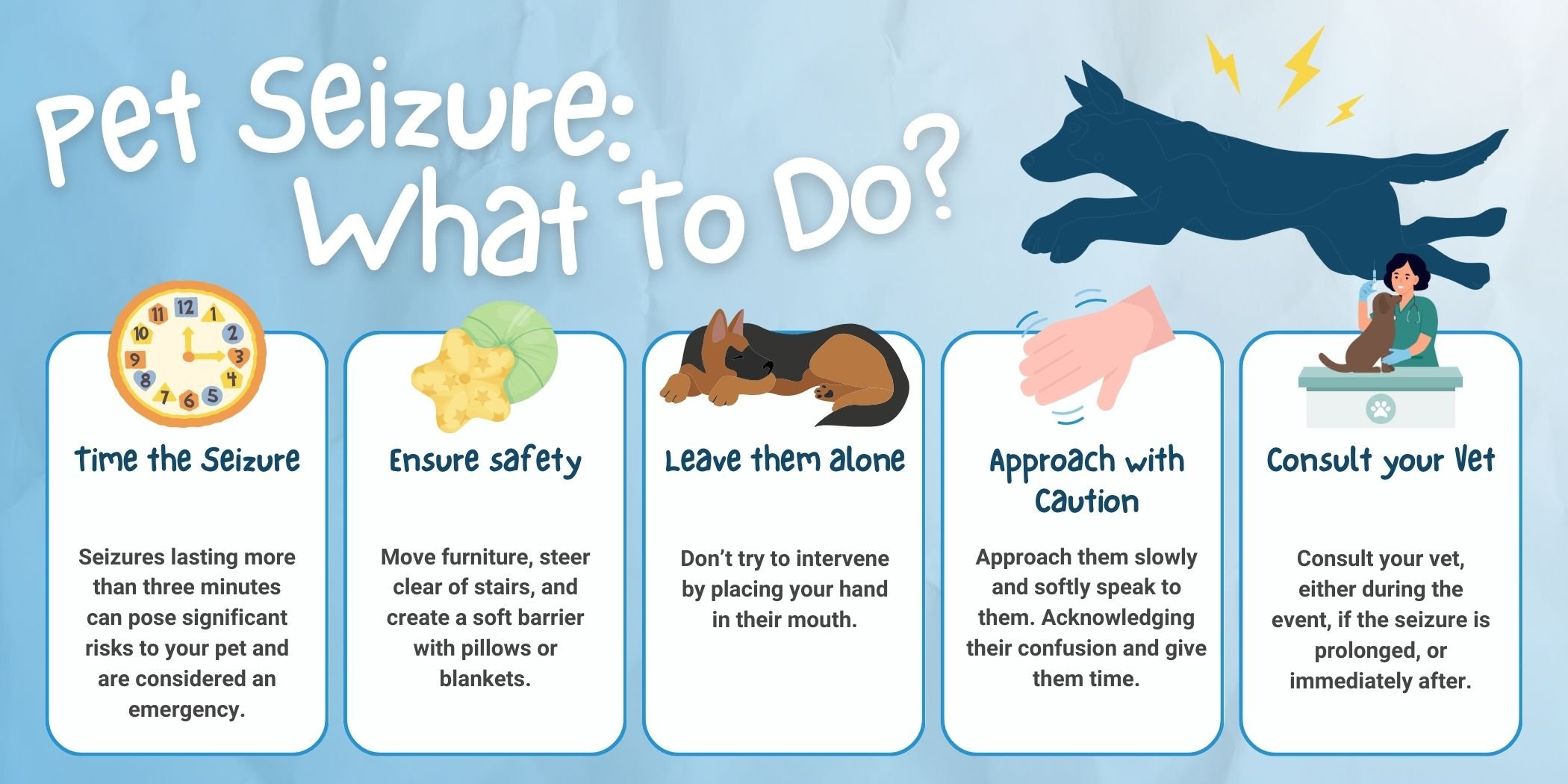 what to do if pet has a seizure